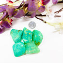 Chrysoprase Tumble Elite Quality (Emotional Comfort and Love)