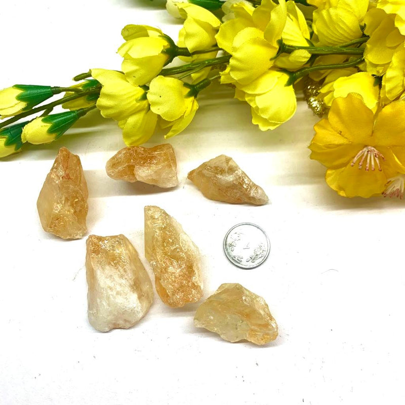 Citrine Rough from Brazil (Professional Growth)