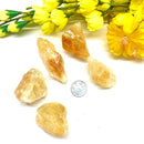 Citrine Rough from Brazil (Professional Growth)