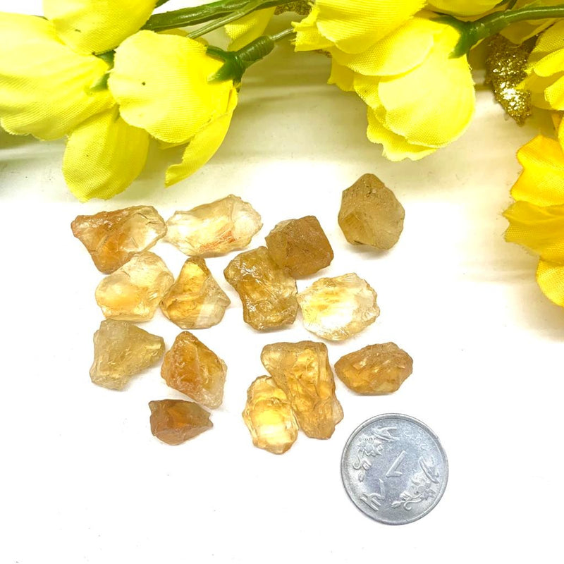 Citrine Rough from Brazil (Professional Growth)