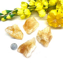 Citrine Rough from Brazil (Professional Growth)