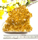 Large Citrine Clusters (Career and Business)