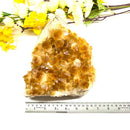 Large Citrine Clusters (Career and Business)