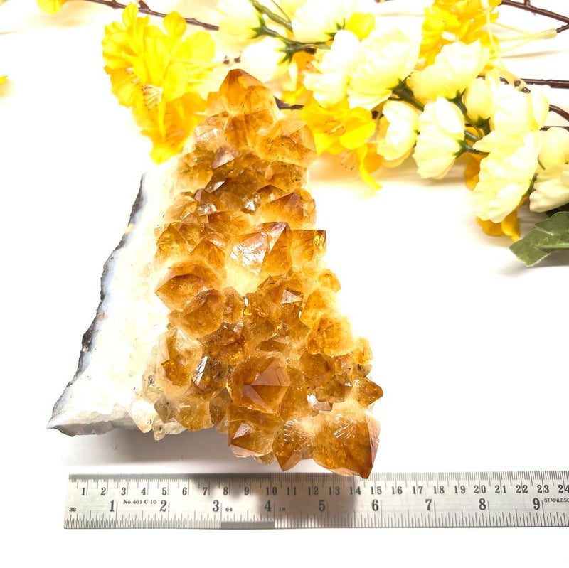 Large Citrine Clusters (Career and Business)