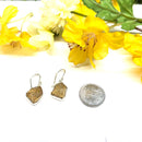 Citrine Earrings in Silver
