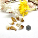 Citrine Point Rough (Manifestation)