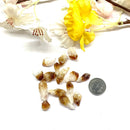 Citrine Point Rough (Manifestation)