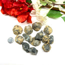 Clam Crystal (Black) Rough (Renewed Motivation)