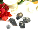 Colus Crystal Rough (Transformation)