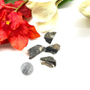 Colus Crystal Rough (Transformation)