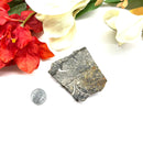 Colus Crystal Rough (Transformation)