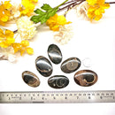 Colus Cabochon (Transformation)