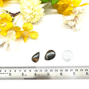 Colus Cabochon (Transformation)