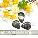 Colus Cabochon (Transformation)