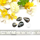 Colus Cabochon (Transformation)