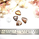 Copper Ore Cabochons (Balance and Synchronicity)