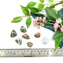 Copper Ore With Peridot (Michigan) Cabochons