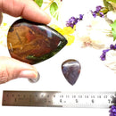 Cow Jasper Cabochon