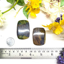 Cow Jasper Cabochon