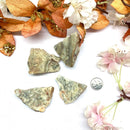 Crazy Lace Agate Rough