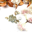 Crazy Lace Agate Rough