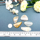 Cream Moonstone Cabochon