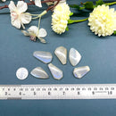 Cream Moonstone Cabochon