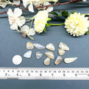 Cream Moonstone Cabochon