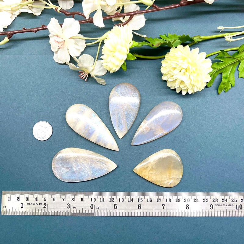 Cream Moonstone Cabochon