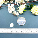 Cream Moonstone Cabochon