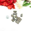 Crinoid Stem Rough (Regeneration of cells)