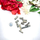 Crinoid Stem Rough (Regeneration of cells)