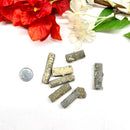 Crinoid Stem Rough (Regeneration of cells)