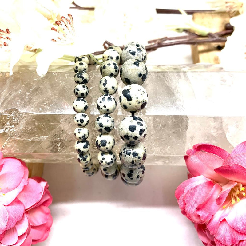 Dalmatian Jasper Round Bead Bracelet (Joy )