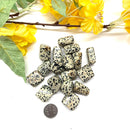 Dalmatian Jasper Tumble (Fun and Joy)