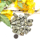 Dalmatian Jasper Tumble (Fun and Joy)