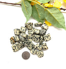 Dalmatian Jasper Tumble (Fun and Joy)