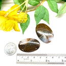 Dendrite Opal Cabochon