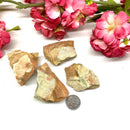 Deer Fawn Jasper Rough (Inner Purity)