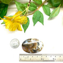 Dendrite Opal Cabochon