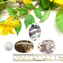 Dendrite Opal Cabochon