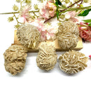 Desert Rose Barite Rough (Feeling Safe & Cared For)