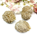 Desert Rose Barite Rough (Feeling Safe & Cared For)