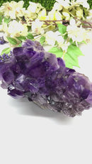 Amethyst Clusters with large points in AAA Extra Quality from Brazil