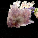 Amethyst Elestial Flowers from Brazil (Intuition and Meditation)