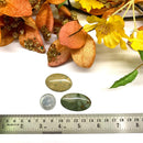 Fancy Jasper Cabochon