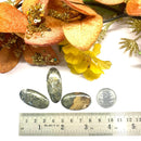 Feather Pyrite Cabochon