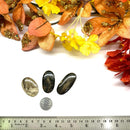 Feather Agate Cabochons