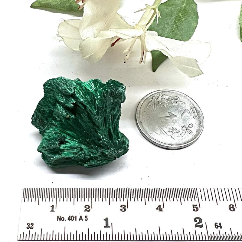 Fibrous Malachite Mineral Specimen