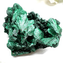 Fibrous Malachite Mineral Specimen
